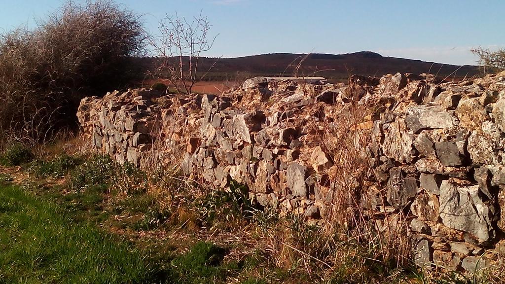 Apartamentos Turisticos La Vida De Antes Consuegra Zewnętrze zdjęcie